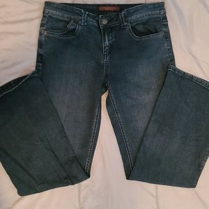 The Limited Bootcut Denim